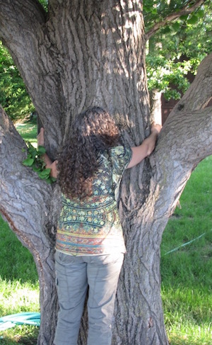 Hugging Tree
